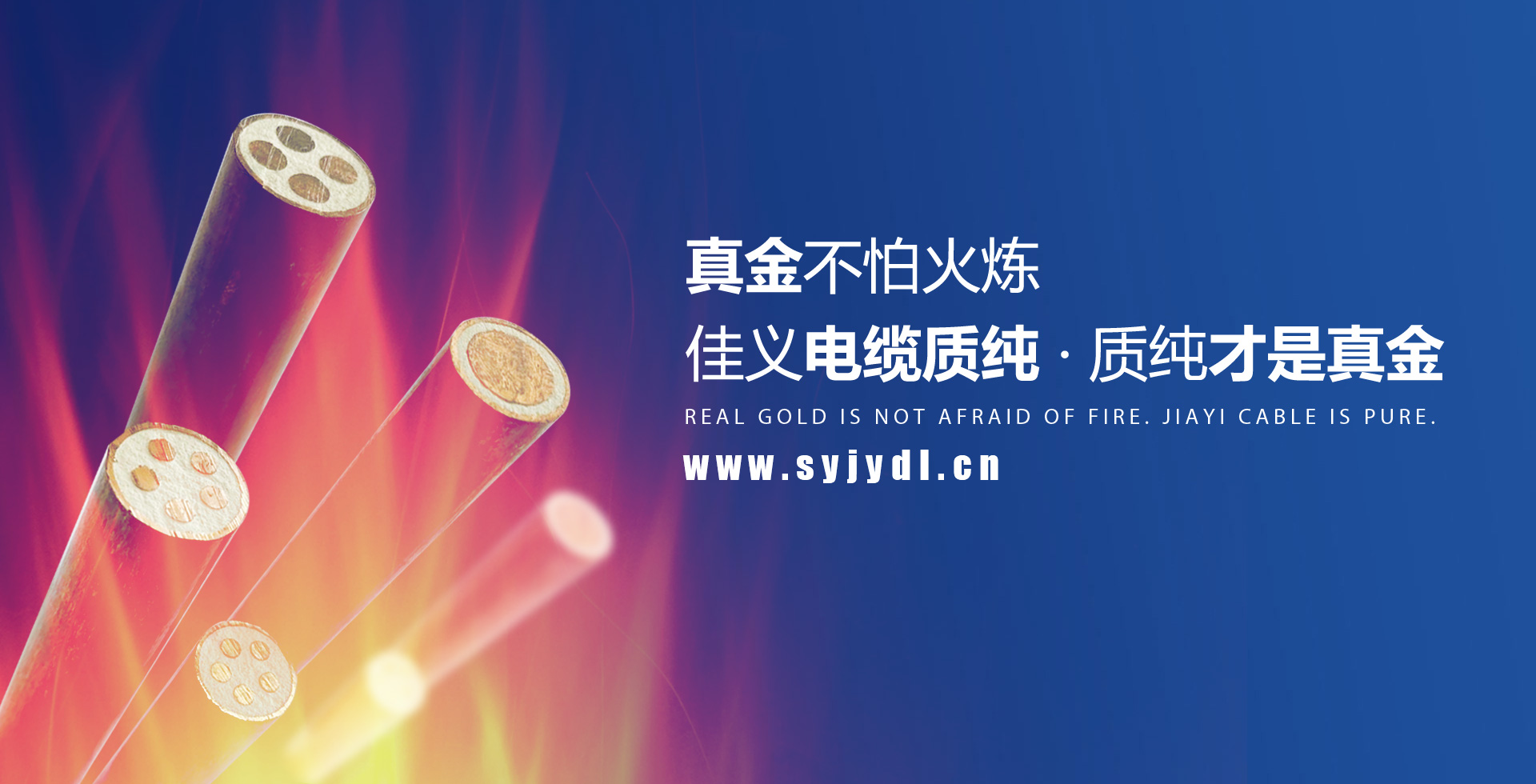 东北香蕉视频入口厂家